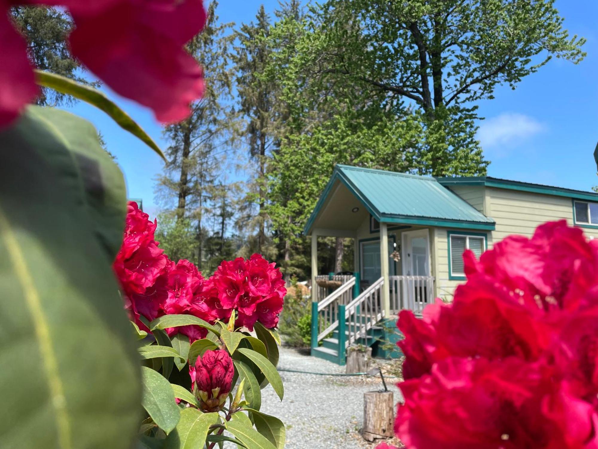 Bay City Sheltered Nook On Tillamook Bay מראה חיצוני תמונה